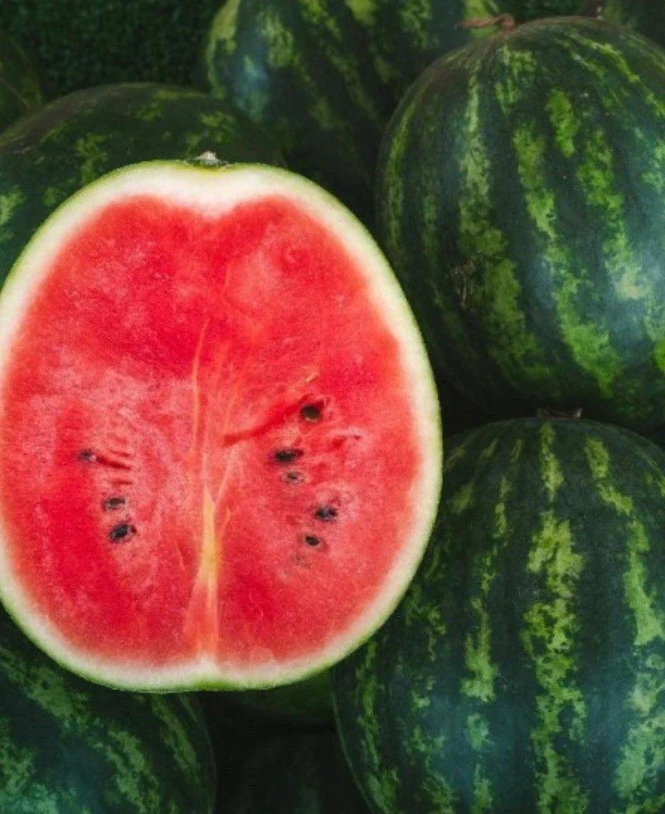 Florida Giant Watermelon Seeds - 100 Non-GMO Seeds, Sweet Variety, Citrullus lanatus - Ideal for Home Gardens