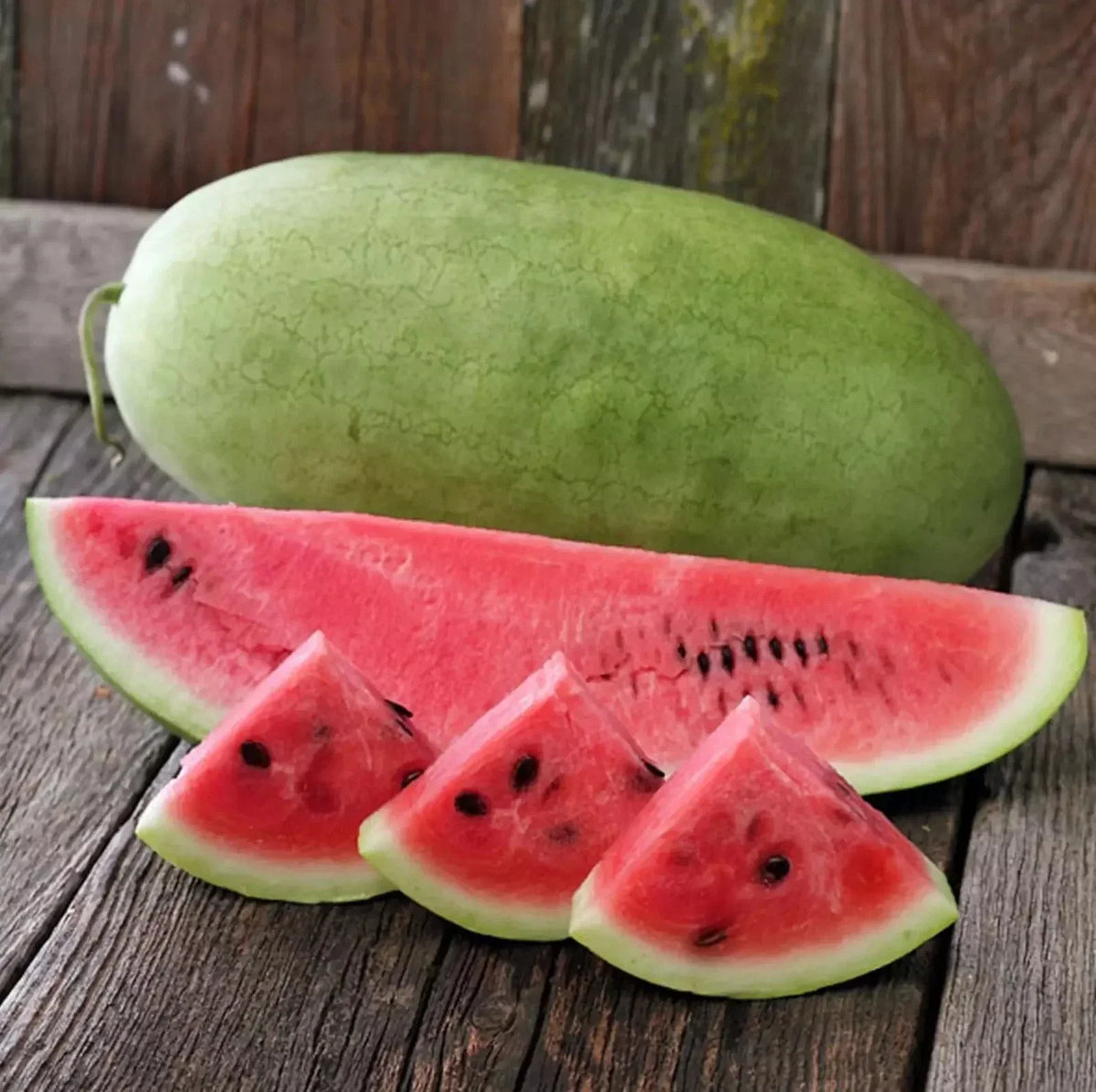 Charleston Grey Watermelon Seeds - Organic Heirloom - Non-GMO - 10+ Seeds - Citrullus lanatus - Sweet Juicy Flavor