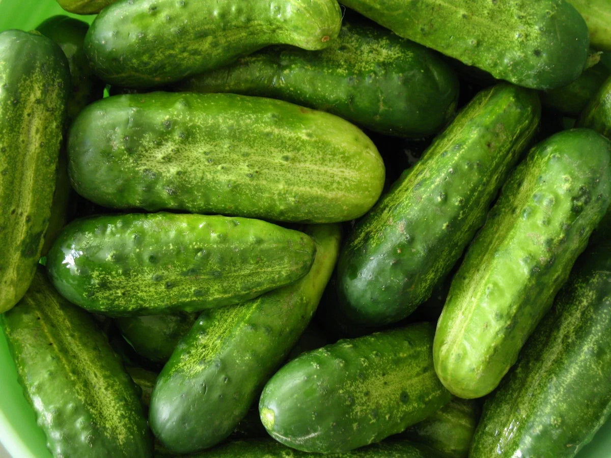 Homemade Pickles Cucumber Seeds, Heirloom NON-GMO, Cucumis sativus, Various Sizes for Pickling & Home Gardening