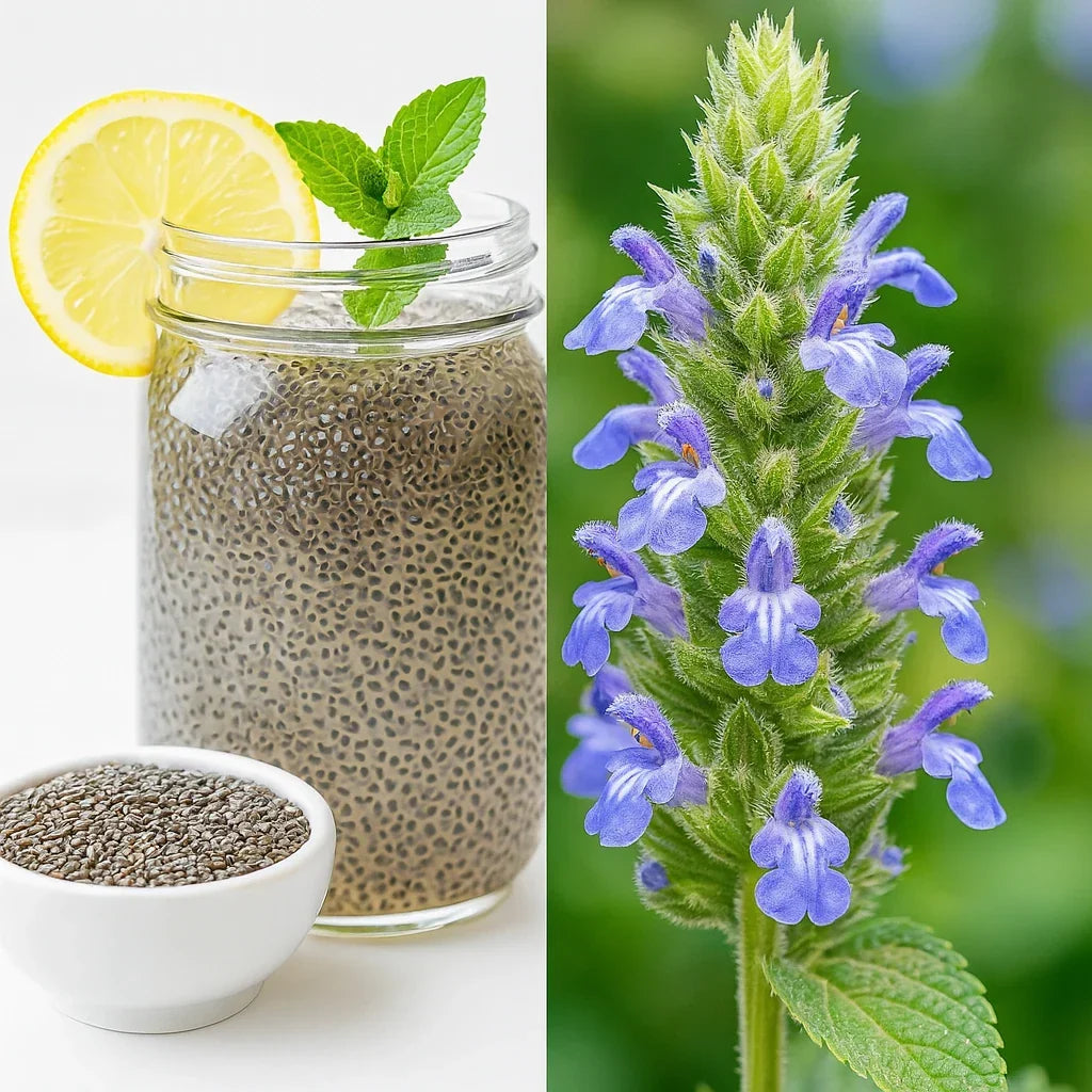 Organic Chia Seeds 2,000+ Count for Microgreens, Salvia Hispanica - Non-GMO, Easy to Grow, Nutrient-Rich