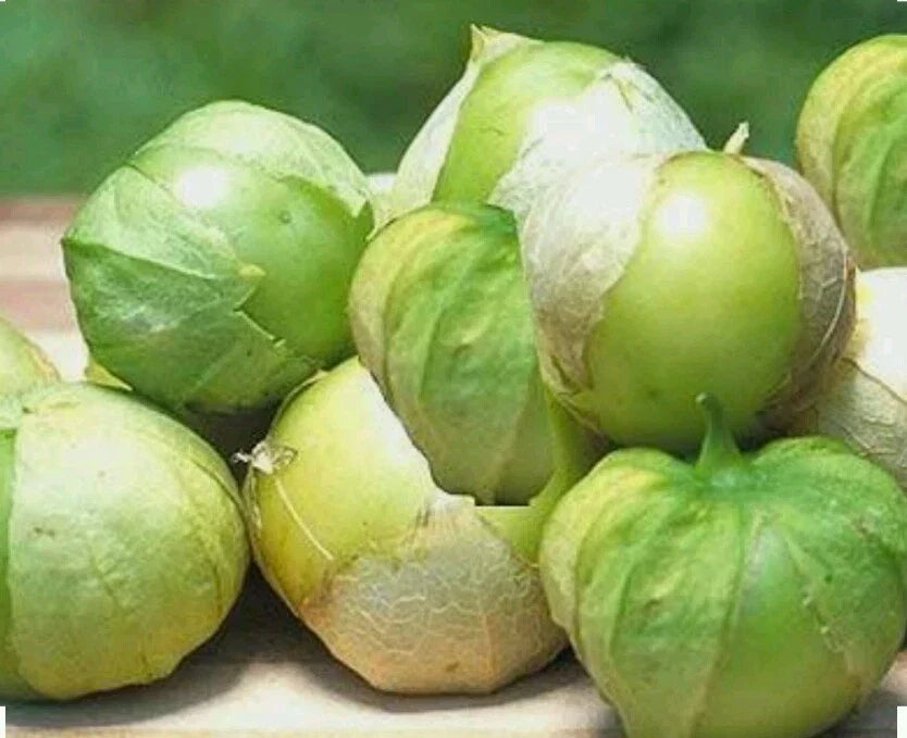 Tomatillo Seeds - 100 Count - Toma Verde - Non-GMO Open Pollinated - Physalis philadelphica - Ideal for Home Gardening