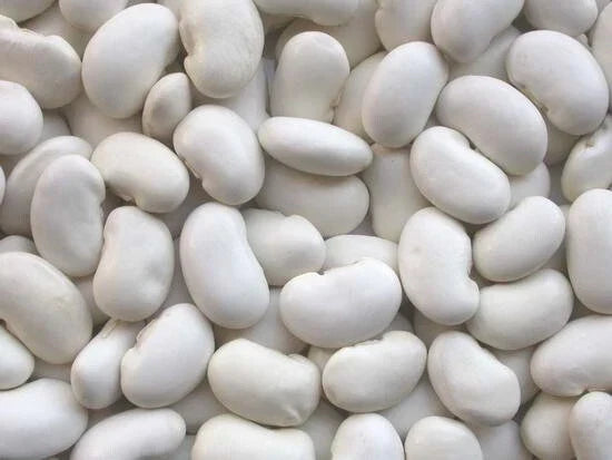 Organic Kidney Bean Seeds - California White - Pack of 100 - Phaseolus vulgaris - Non-GMO, High Germination Rate