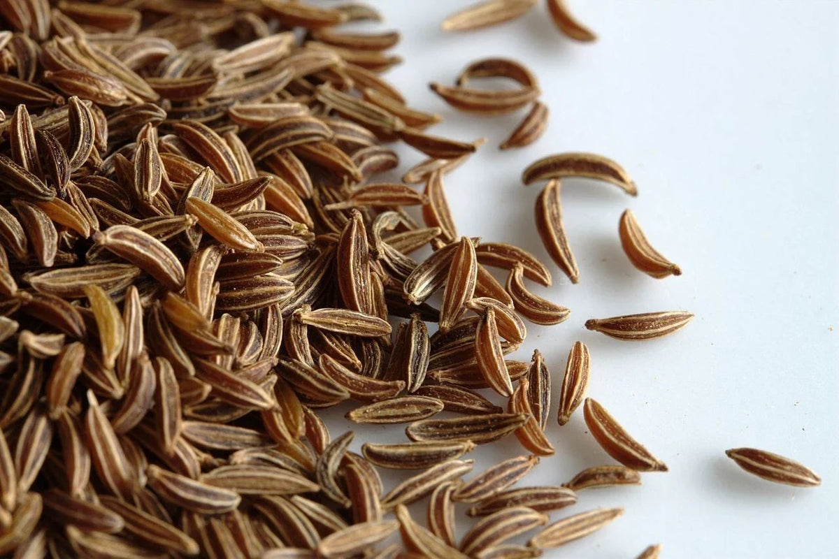 Caraway Seeds 1,000 Count Non-GMO for Meridian Fennel & Persian Cumin, Carum carvi - Culinary Herb Seeds