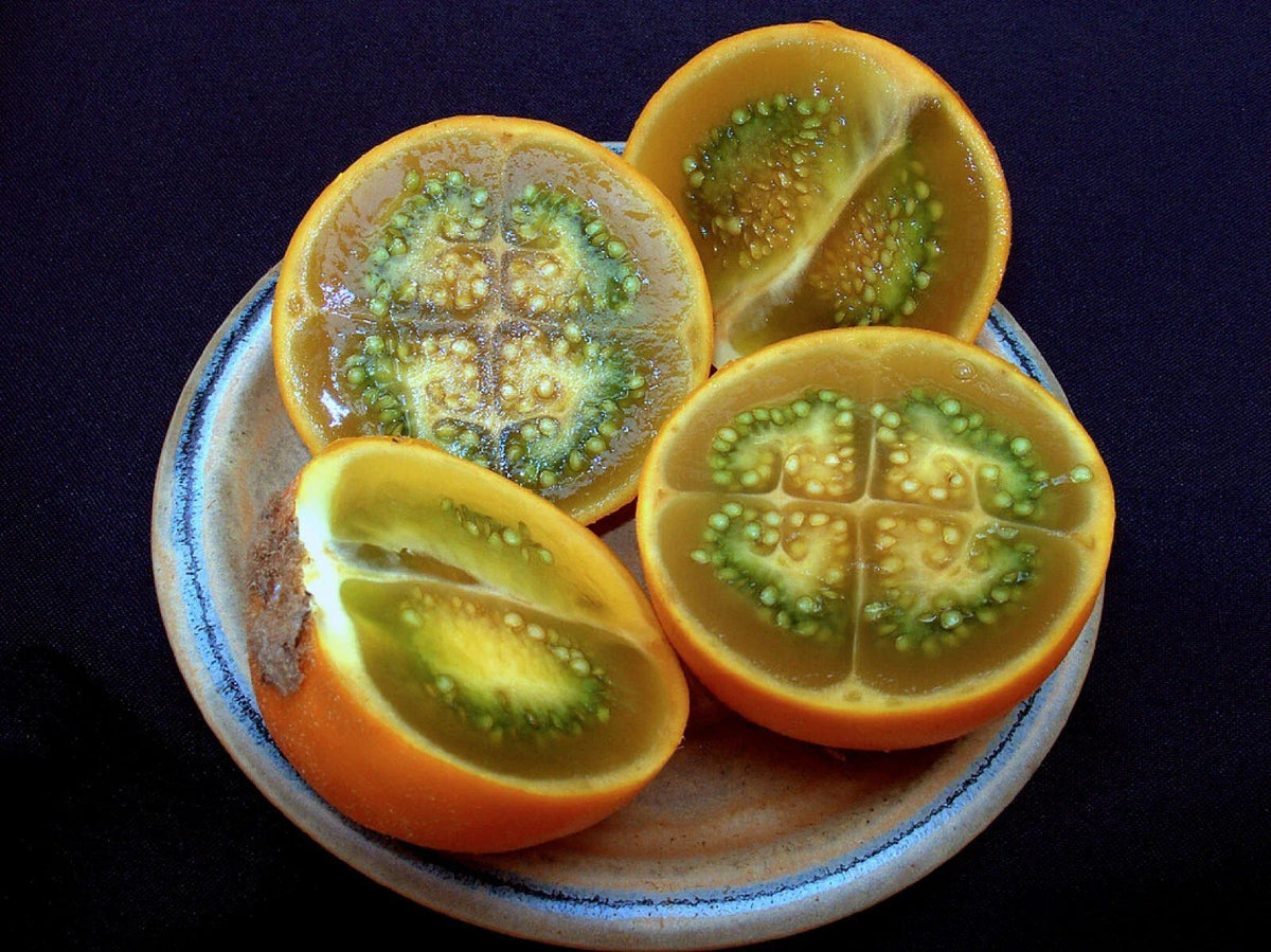 Organic Lulo Orange Tree Seeds - 20 Pack - Solanum quitoense - Tropical Fruit Gardening - Chemical-Free Seeds