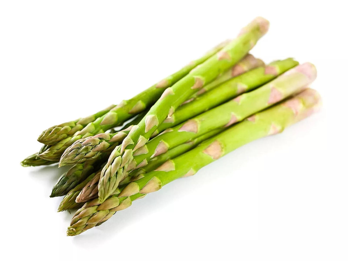 Mary Washington Asparagus Seeds - 100 Organic Heirloom Non-GMO, Asparagus officinalis, Perfect for Home Gardens