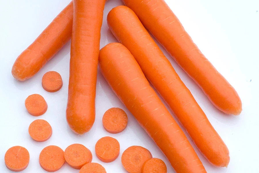Bolero Carrot Seeds - 1000+ Non-GMO Seeds for Garden Planting - Daucus carota - USA Grown
