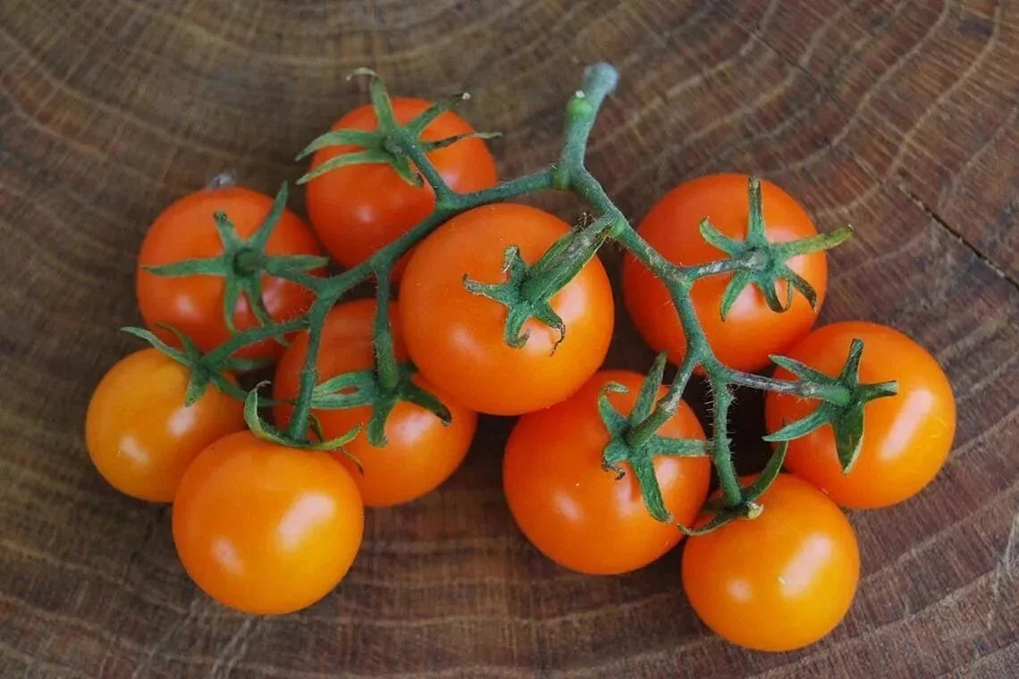 Orange Cherry Tomato Seeds - 120+ Heirloom, Non-GMO, Organic - Solanum lycopersicum - Rare Variety for Home Gardening