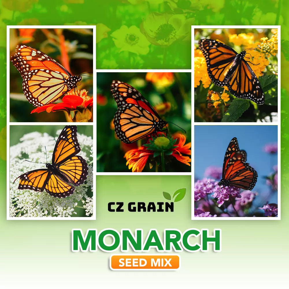 Monarch Butterfly Garden Seed Kit - Butterfly-Friendly Flower Seeds - Asclepias spp. - Attract Monarchs to Your Garden