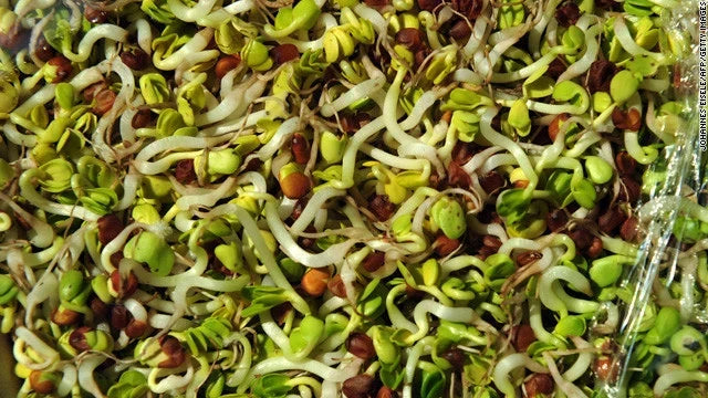 Sprouting Mix 100g - Health Blend Organic Seed Mix for Sprouts - Non-GMO, Nutritious Flavor - Various Varieties