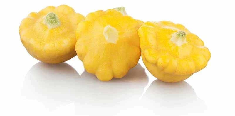 Pattypan Squash Seeds - 25+ Pack - Heirloom Summer Squash - Cucurbita pepo - Non-GMO, Fast-Growing, Great for Home Gardens
