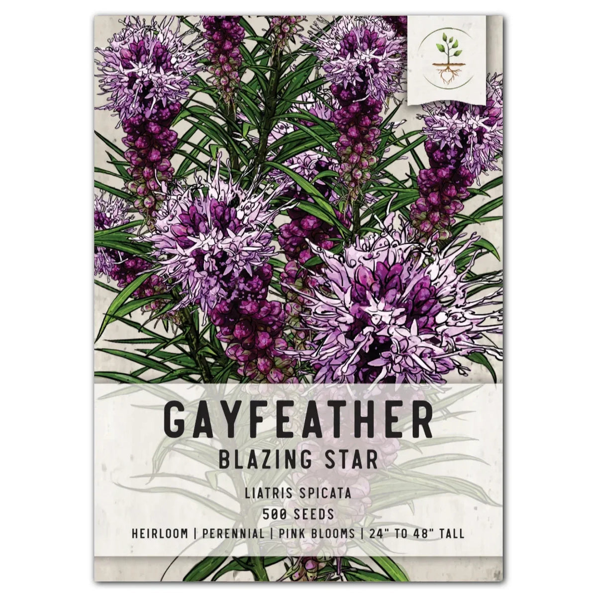 Gayfeather Wildflower Seeds - 100 Pack - Liatris spicata - Native Perennial Flower Seeds for Pollinator Gardens