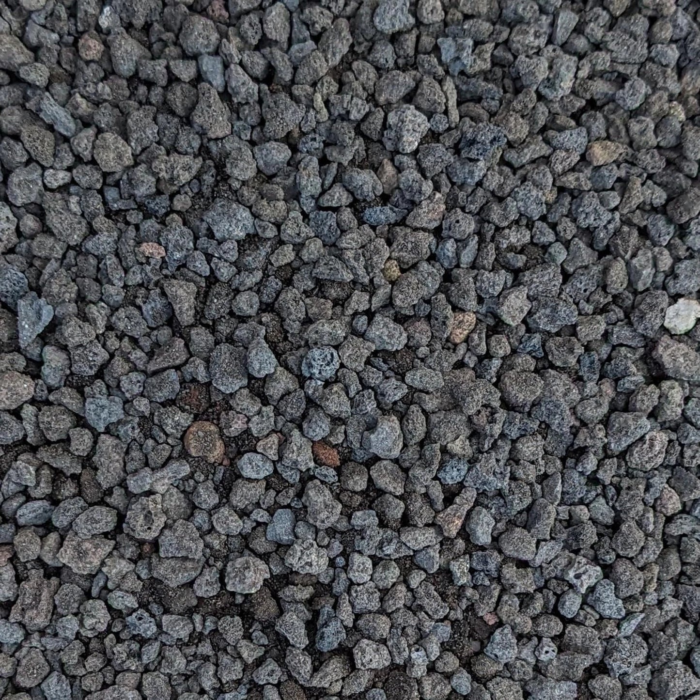 Black Lava Rocks 1/4" Natural Volcanic Rock for Drainage and Decoration - Ideal for Potted Plants and Succulent Gardens