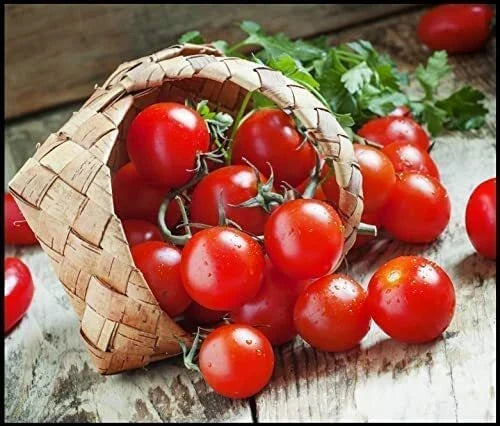 300 Cherry Tomato Seeds for Planting, Heirloom Variety, Solanum lycopersicum - Perfect for Gardens & Containers