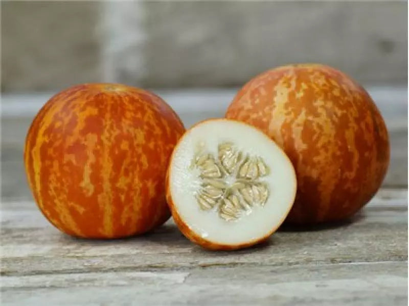 Tigger Melon Seeds - Organic Non-GMO, Aromatic Variety - Cucumis melo - Perfect for Garden & Containers