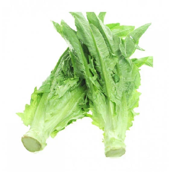 Chinese Leaf Lettuce Seeds - 200+ Count, Sword Pointed Variety, Fast Growing, Lactuca sativa for Gardens