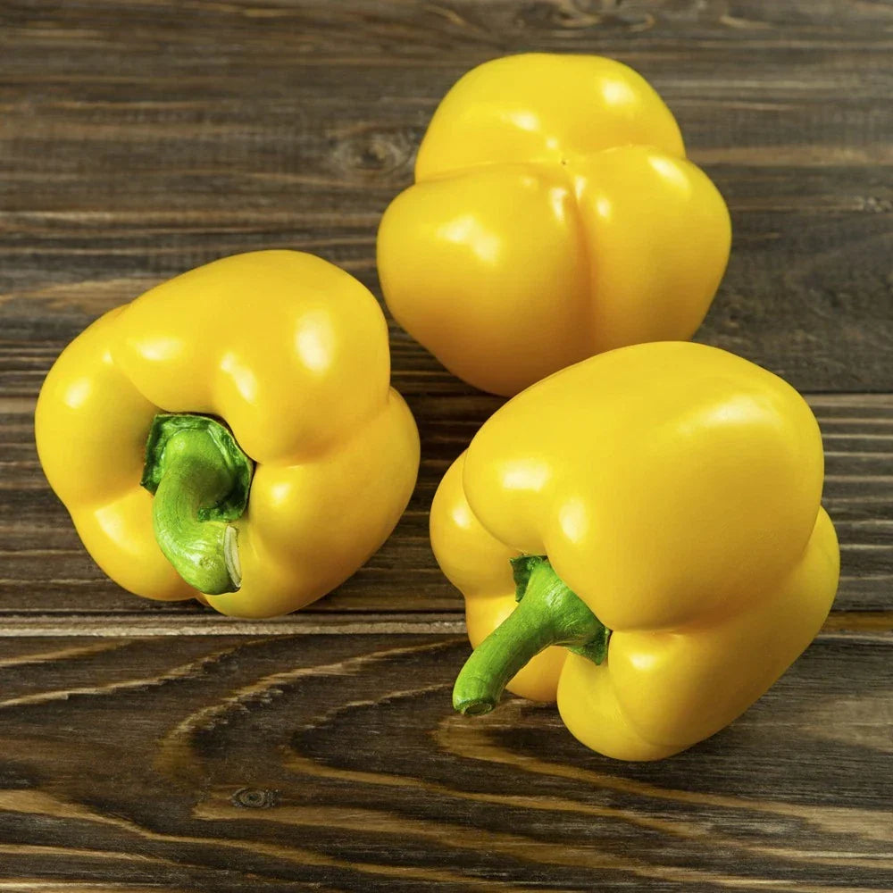 Mini Yellow Bell Pepper Seeds - Organic Non-GMO - 50+ Seeds - Capsicum annuum - Perfect for Home Gardens and Containers