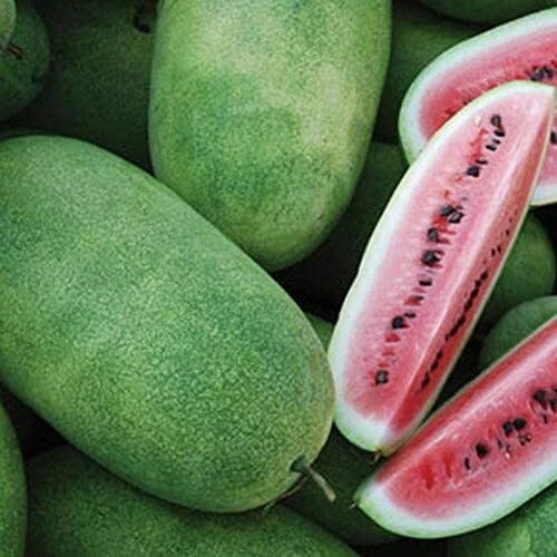 Charleston Grey Watermelon Seeds | Organic Heirloom Non-GMO | Citrullus lanatus | 25 Seeds for Home Garden