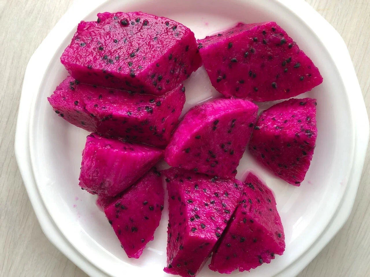 Red Dragon Fruit Cuttings 9-14" - Purple Haze - Hylocereus undatus - Premium 2-Pack for Home Gardens and Container Planting