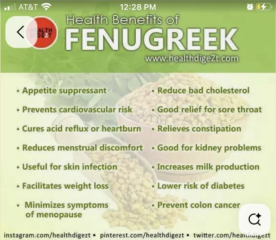 Fenugreek Seeds - 200 Non-GMO Open Pollinated Seeds - Trigonella foenum-graecum - Culinary Herb for Home Gardening
