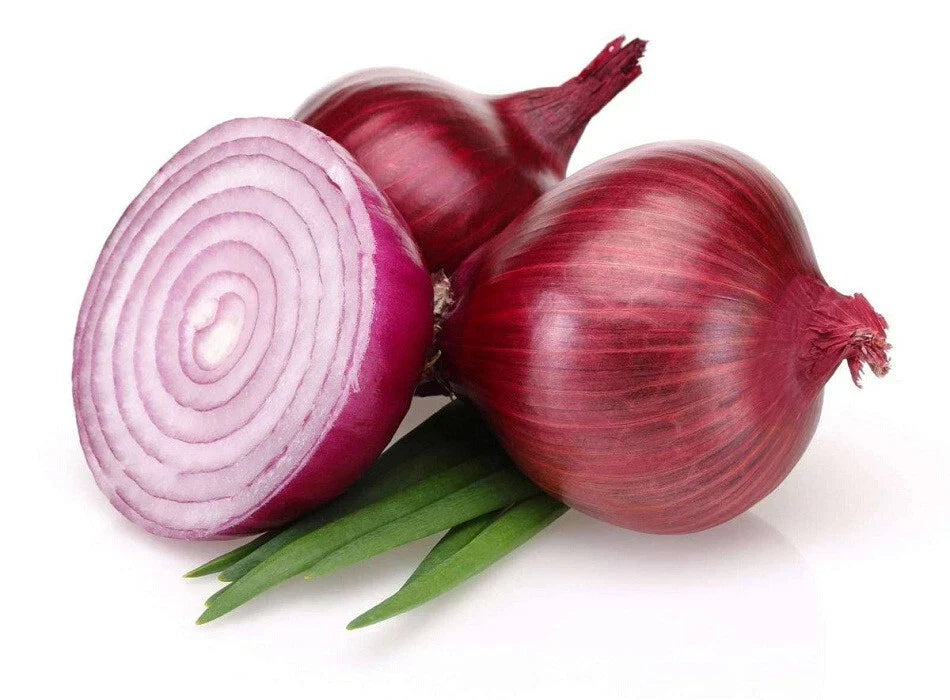 Bermuda Onion Seeds 500+ Pack - Heirloom Allium cepa - Non-GMO, Easy to Grow, Ideal for Home Gardens