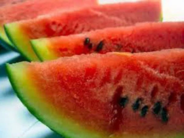 Watermelon Seeds 100 Heirloom Charleston Grey Citrullus lanatus - Sweet, Juicy, High Yield for Home Gardeners