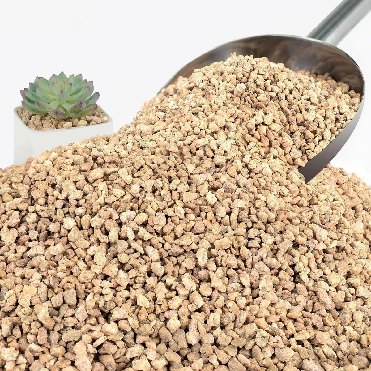 3Lb Maifanitum Stones for Succulents, Golden Pea Gravel 1/8"-1/4", Decorative Gravel for Cactus, Natural Drainage Material