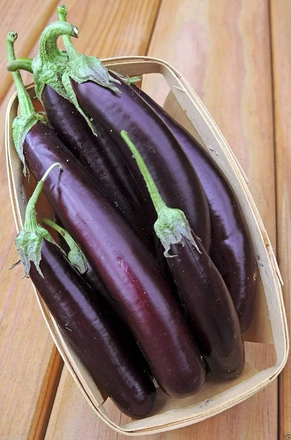 Long Purple Eggplant Seeds - 250 Non-GMO Heirloom Seeds for Planting - Solanum melongena - Perfect for Home Gardens