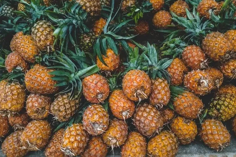 Brecheche Pineapple Seeds - 15+ Count - Garden Planting - Ananas bracteatus - USA