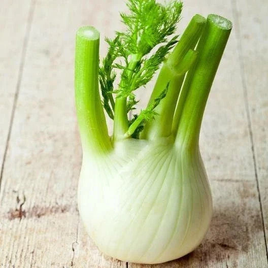 Florence Fennel Seeds Packet, Non-GMO Herb for Home Garden, Foeniculum vulgare var. dulce, Aromatic Culinary Flavor