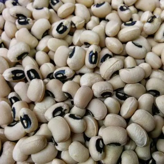 California Blackeye Cowpea Seeds 50 Ct - Heirloom Legume for Vegetable Garden - Vigna unguiculata - Non-GMO, Drought-Tolerant