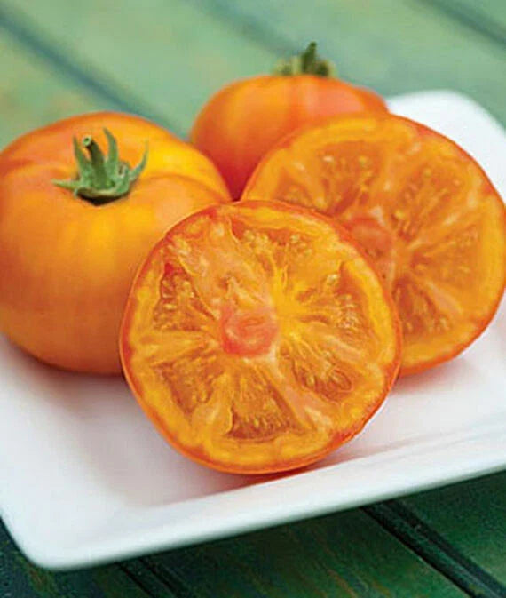 Orange Beefsteak Tomato Seeds | NON-GMO Heirloom | Solanum lycopersicum | 25 Seeds for Home Gardening