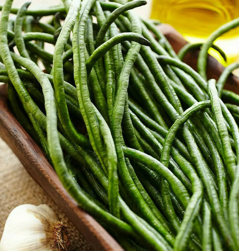 Yard Long Bean Seeds - Dark Green Asparagus Beans - Vigna unguiculata - Non-GMO, High Germination, 25 Seeds Packet