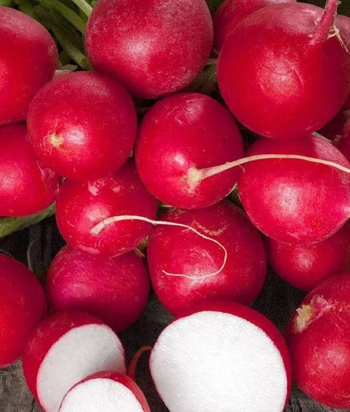 Cherry Belle Radish Seeds - 200+ Non-GMO - Fast Germination - Raphanus sativus - Ideal for Home Gardens & Containers