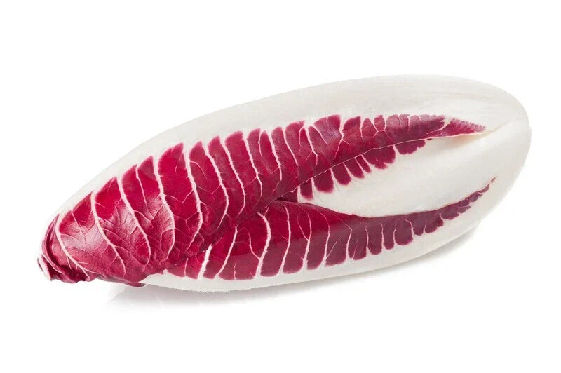 Endive Seeds 2000 Count Red Treviso Non-GMO Heirloom Cichorium endivia for Gourmet Salads Garden USA Seller