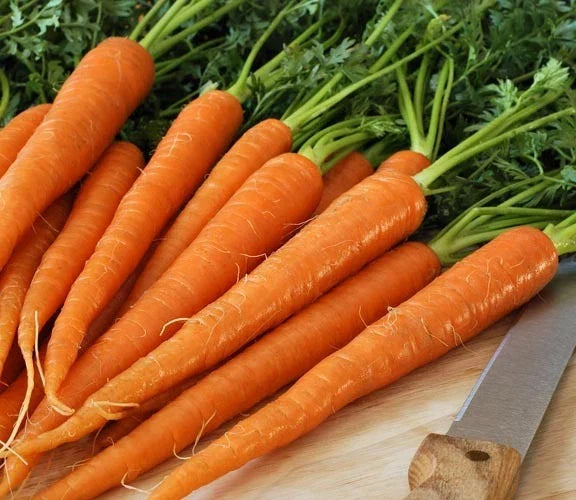 Tendersweet Carrot Seeds - 200 Count Packet - Coreless Variety for Juicing & Canning - Daucus carota