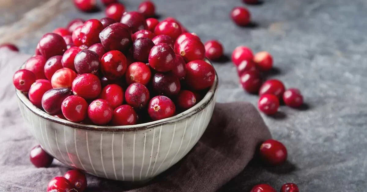 50 Organic Cranberry Seeds - Medici Variety - Vaccinium macrocarpon - Non-GMO Edible Fruit for Home Gardening