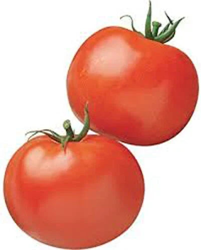 Rutger's Heirloom Tomato Seeds - 100+ Non-GMO Seeds - Solanum lycopersicum - USA Grown Vegetable Garden Starter