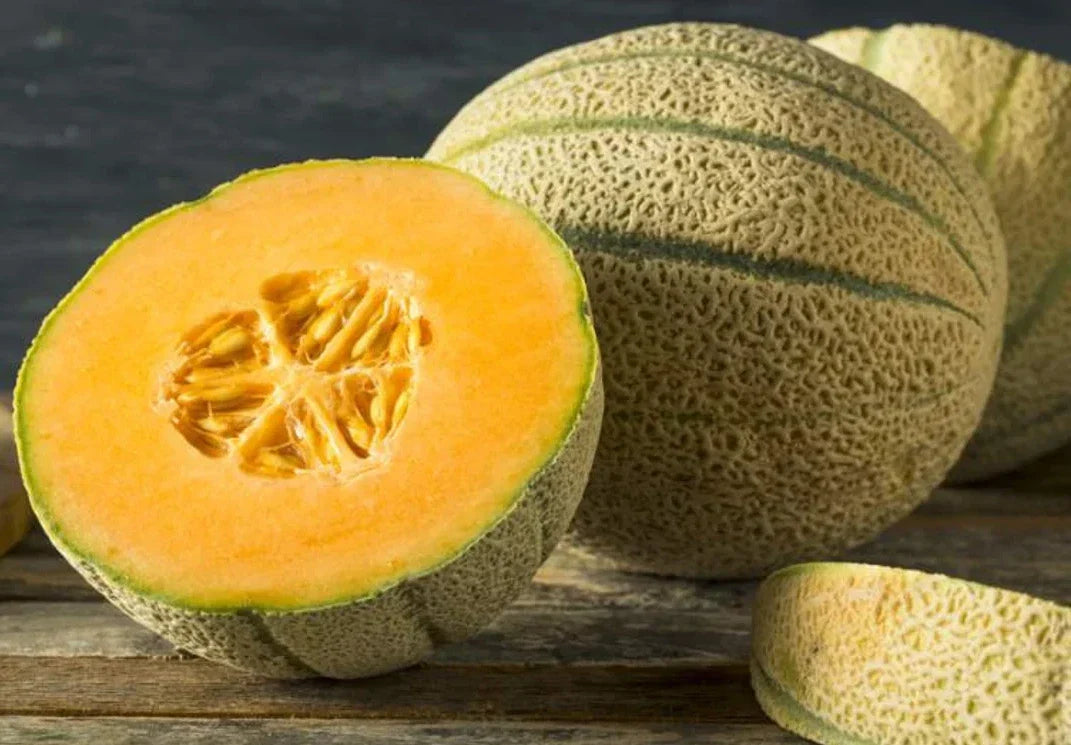 Organic Honey Rock Cantaloupe Seeds - 200+ Heirloom Non-GMO Seeds - Cucumis melo - Sweet Melon Variety for Home Gardening
