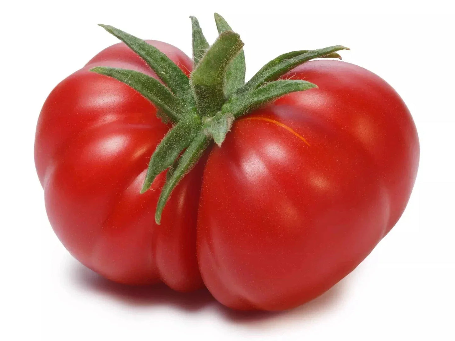 Beefsteak Tomato Seeds - 120+ Count - Heirloom, Non-GMO, Organic, Fresh - Solanum lycopersicum