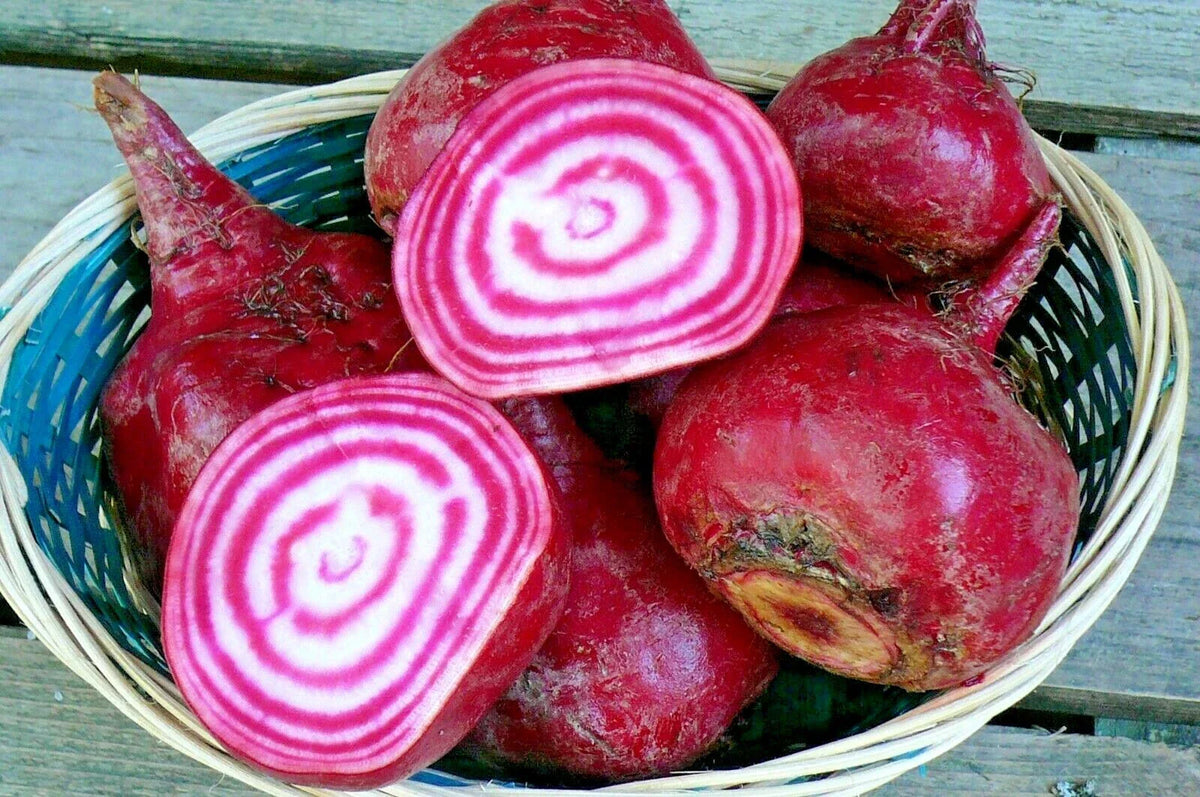 Chioggia Beet Seeds - 100+ Italian Heirloom Variety - Beta vulgaris for Vegetable Garden or Patio - Easy to Grow