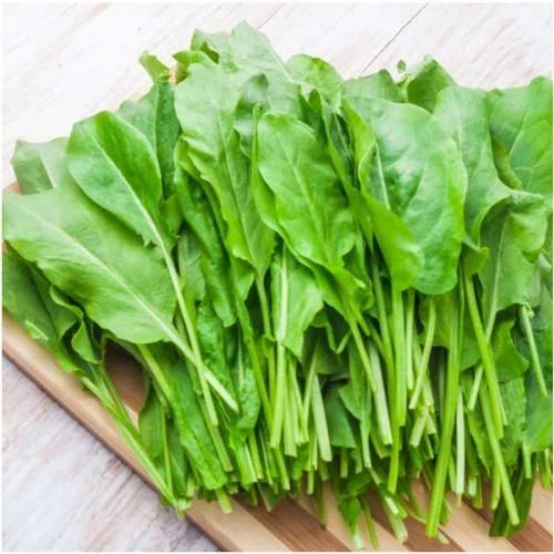 Large Leaf Sorrel Seeds - 2000+ Organic - Rumex acetosa - Perfect for Summer & Winter Gardening, Container & Patio Use