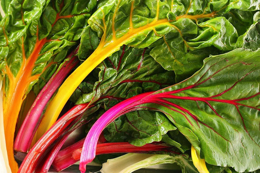 Swiss Chard Seeds - 4 Star Variety - Non-GMO Heirloom - Beta vulgaris subsp. cicla - Nutrient-Rich Greens for Gardening