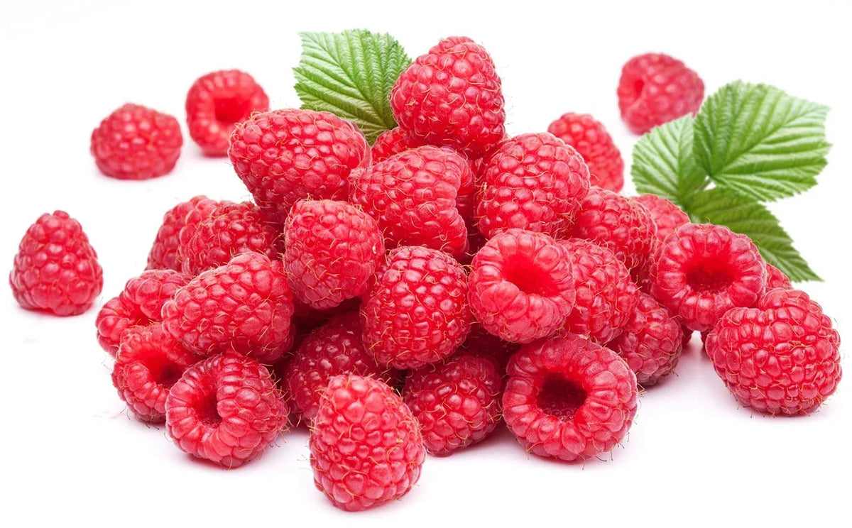 Red Raspberry Seeds - 200 Seeds - Delicious Variety - Rubus idaeus - USA Grown, Ships from Iowa