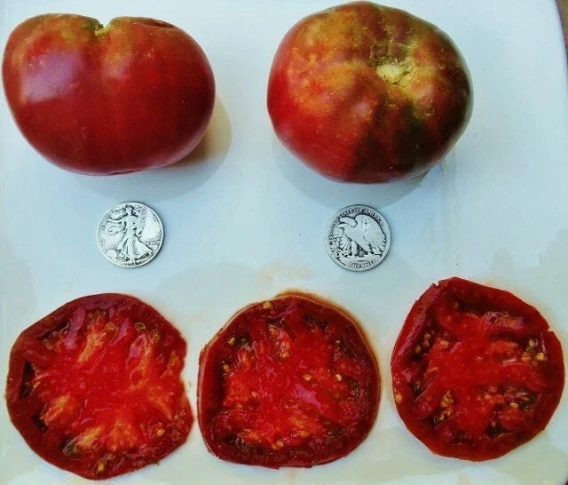 Cherokee Purple Tomato Seeds - 25 Count - Heirloom Variety - Solanum lycopersicum - Rich Flavor & Unique Color