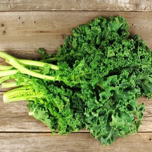 Dwarf Siberian Kale Seeds - 2000 Non-GMO Heirloom - Organic Brassica oleracea var. sabellica - Ideal for Vegetable Gardens