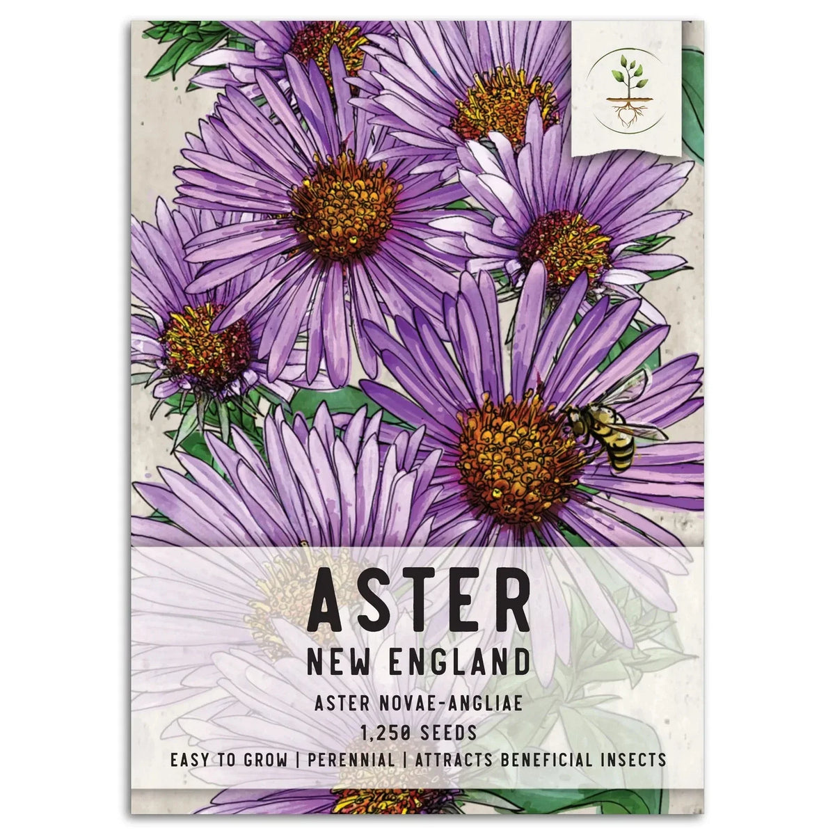 New England Aster Seeds, Purple Blooms, Aster novae-angliae, 100 Seeds for Planting, Attracts Pollinators, Non-GMO