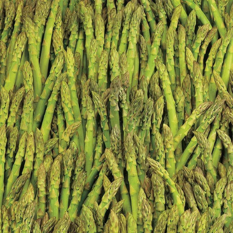 Asparagus Seeds 100+ Pack Mary Washington Non-GMO Vegetable Garden Seeds Asparagus officinalis