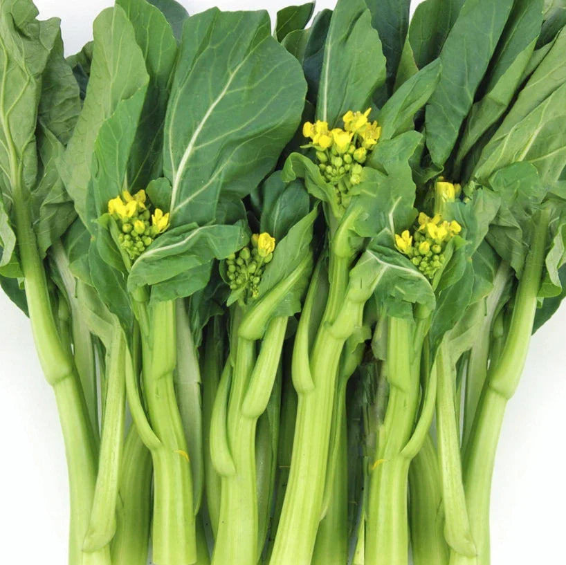 Yu Choy Sum Seeds | 70D Improved Gai Lan Mustard Green | Brassica rapa var. parachinensis | Non-GMO, High Germination Rate