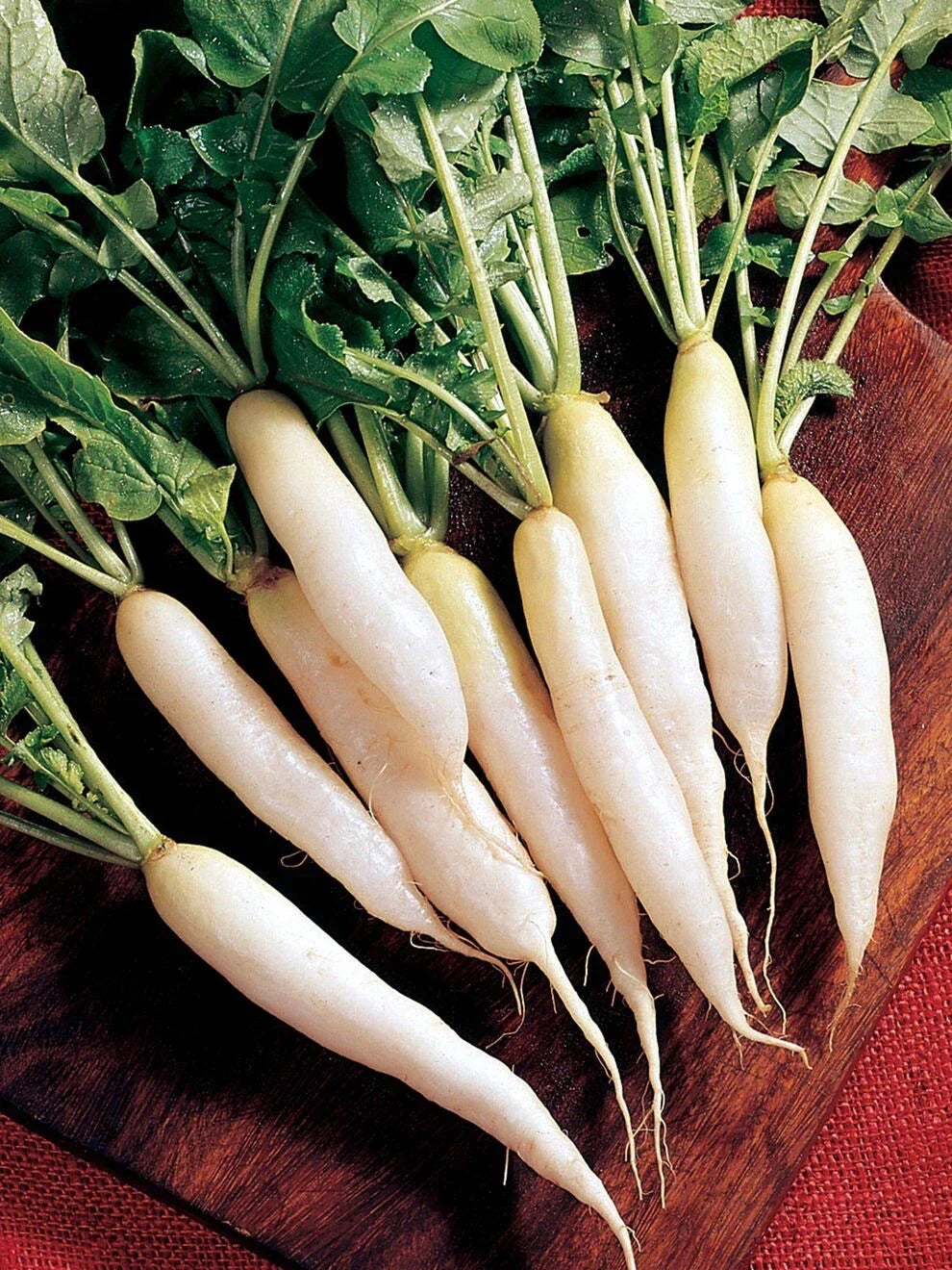 White Icicle Radish Seeds - 200+ Organic Heirloom Non-GMO - Raphanus sativus - Crisp, Fast-Growing Vegetable for Home Garden