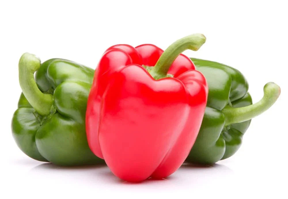 Giant Sweet Pepper Seeds - 30 Seeds - Ozark Variety - Capsicum annuum - Home Garden Bell Peppers